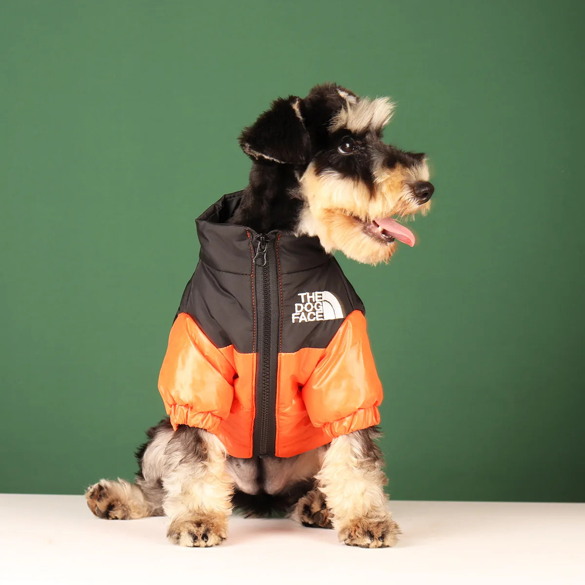 Warm Reflective Dog Winter Jacket | All Sizes | Windproof Pet Coat