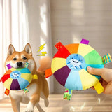 Rainbow Plush Flying Disc Dog Toy Interactive Chew & Fun