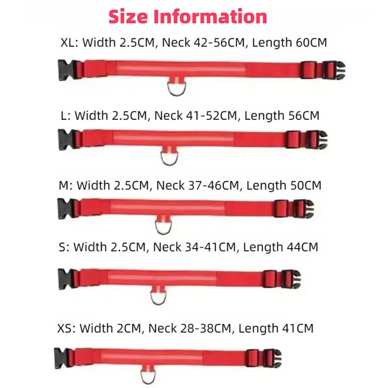 Nylon LED Flashing Dog Leash | Night Safety for Dogs
