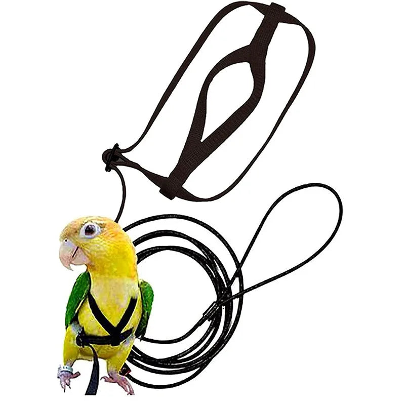 Parrot Bird Harness & Leash for Outdoor Flying & Training