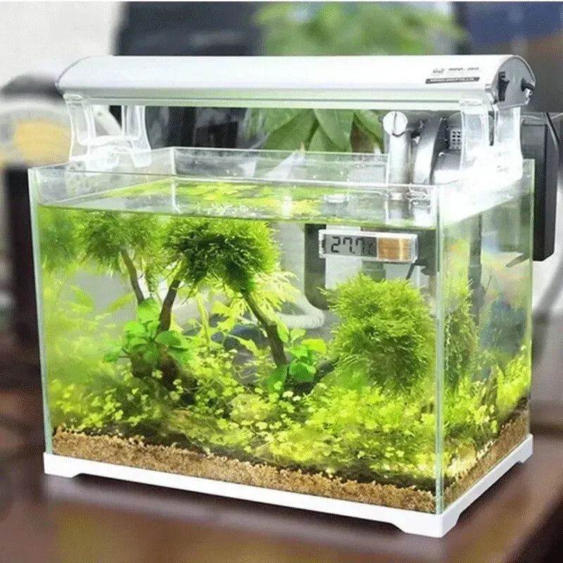 Digital LCD Aquarium Thermometer | Accurate Fish Tank Temp Gauge