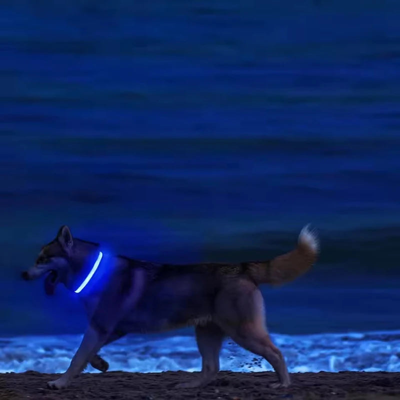 Nylon LED Flashing Dog Leash | Night Safety for Dogs