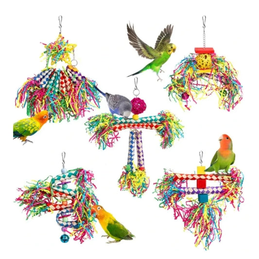 5-Piece Natural Wood Parrot Chewing & Enrichment Toy Set