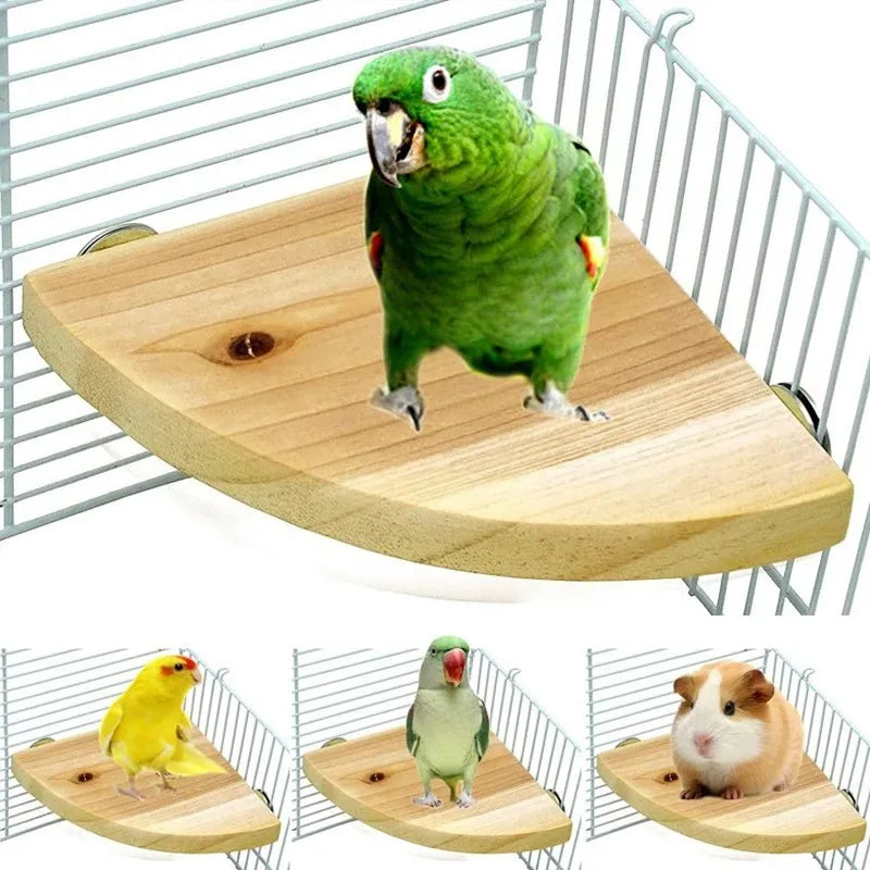 Natural Wood Bird Perch Stand - Cage Platform for Parrots