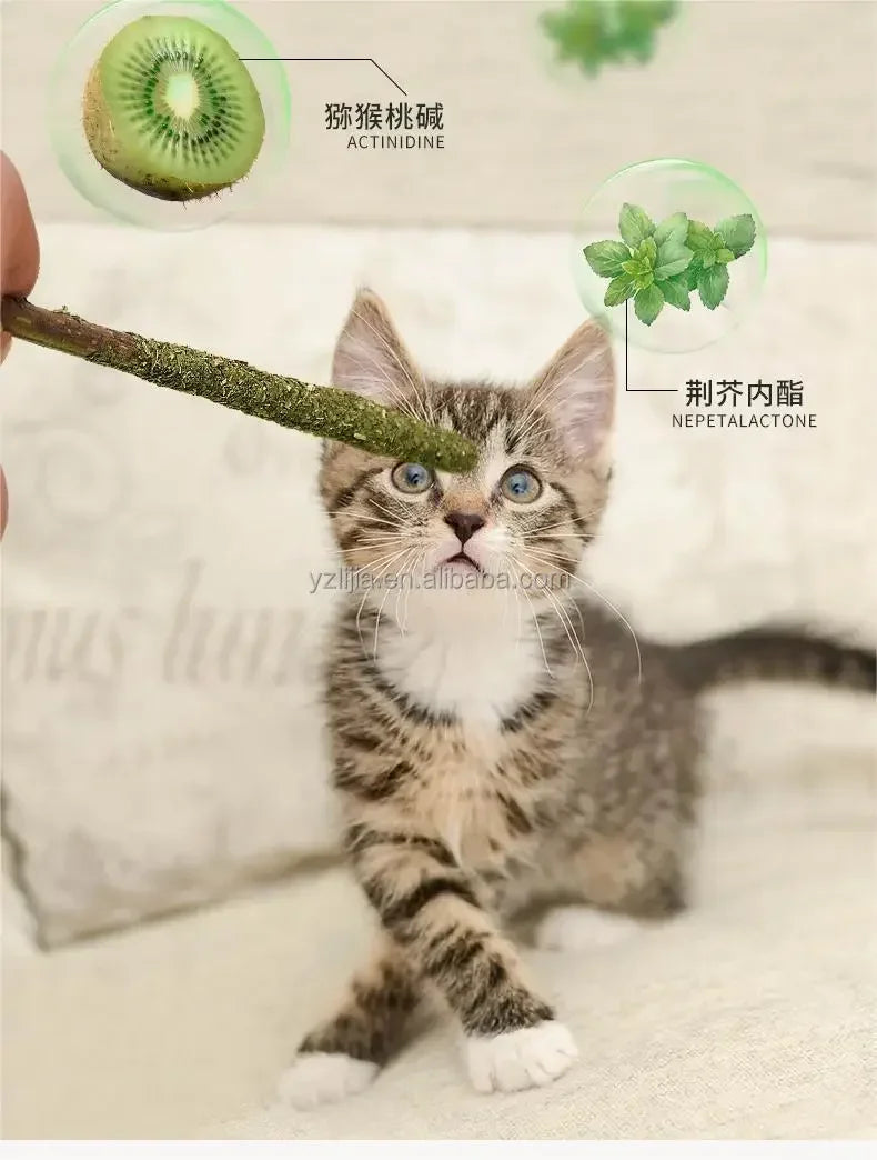 6-Pack Natural Matatabi & Silvervine Cat Sticks | Dental Health