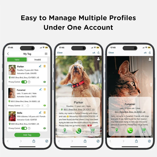 Airtag Cat Collar for Easy Tracking & Safety - Reflective QR ID