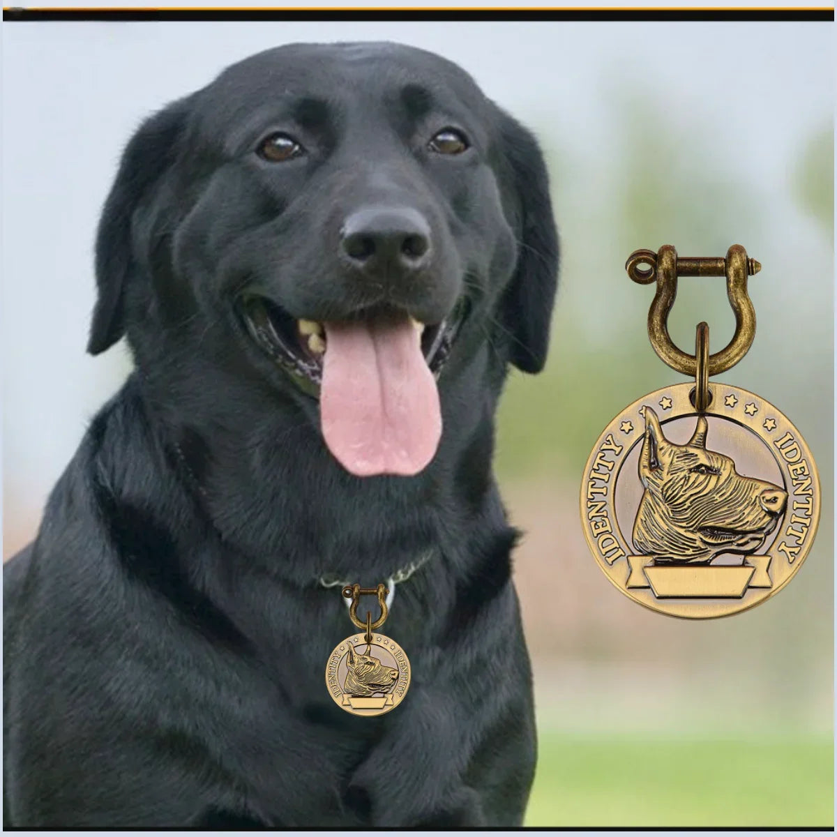 Custom Engraved Bronze Dog ID Tag | Personalized Pet Nameplate