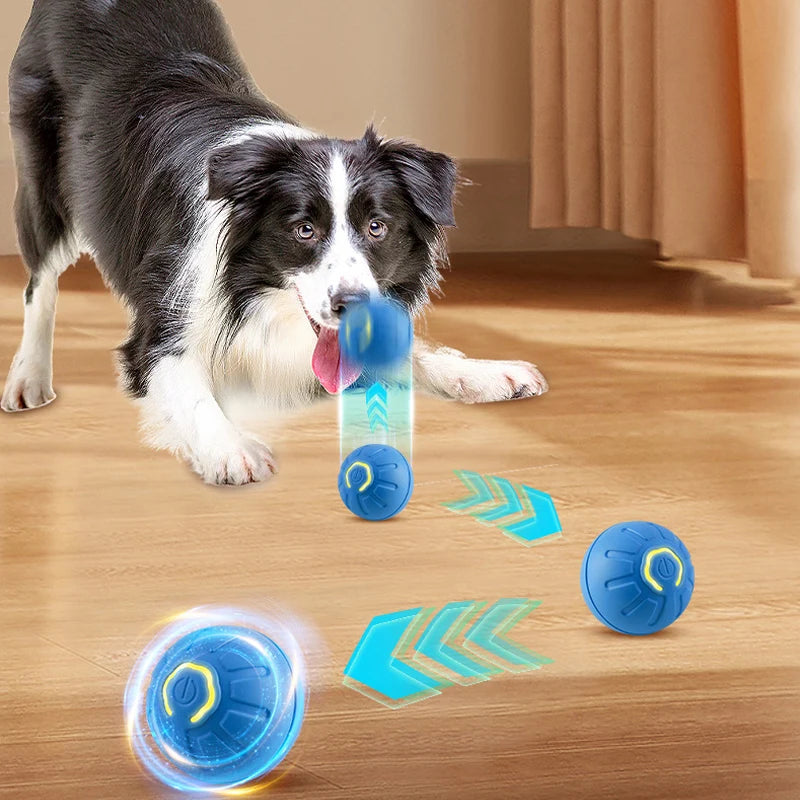 Smart Interactive USB Moving Dog Toy Ball - Chew Puppy Fun