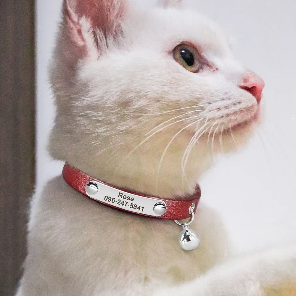 Personalized Leather Cat Collar - Engraved Name & Anti-Lost Canada