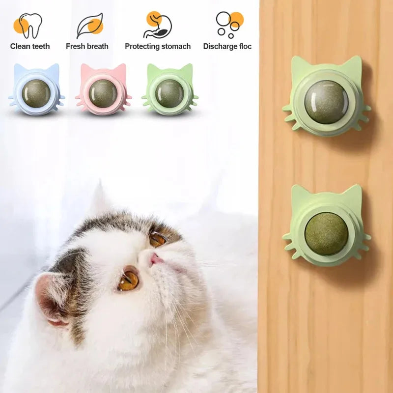 Catnip Wall Ball Treat for Cats - Dental & Fresh Breath
