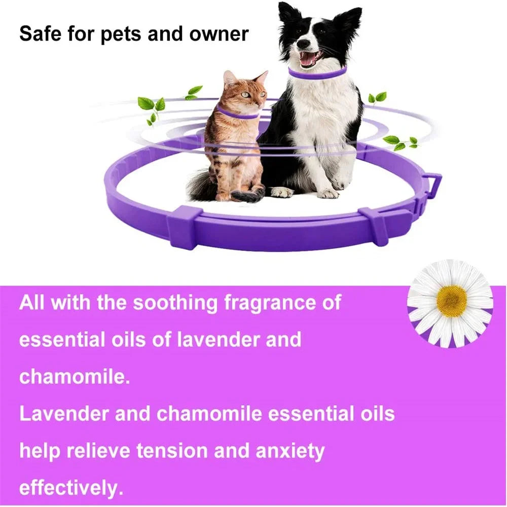 Natural Pet Calming Collar for Cats & Dogs | 60-Day Anxiety Relief