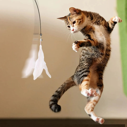 Interactive Cat Teaser Toy | Suction Cup Feather Bell Wand
