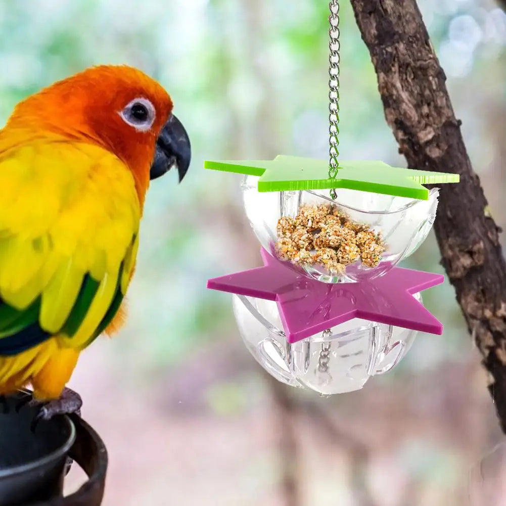 Bird Bite Toys Parrot Foraging Feeder | Acrylic Hanging Treat Toy