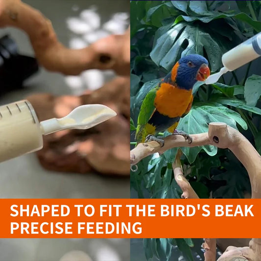 Baby Bird Feeding Kit: Syringe & Spoon for Milk & Medicine