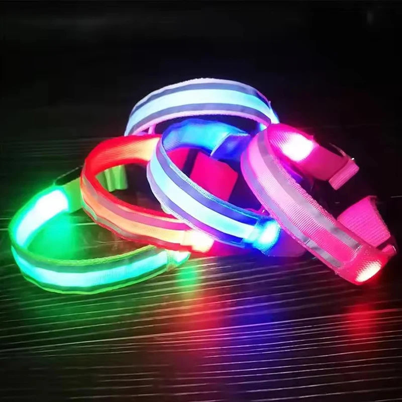 Nylon LED Flashing Dog Leash | Night Safety for Dogs