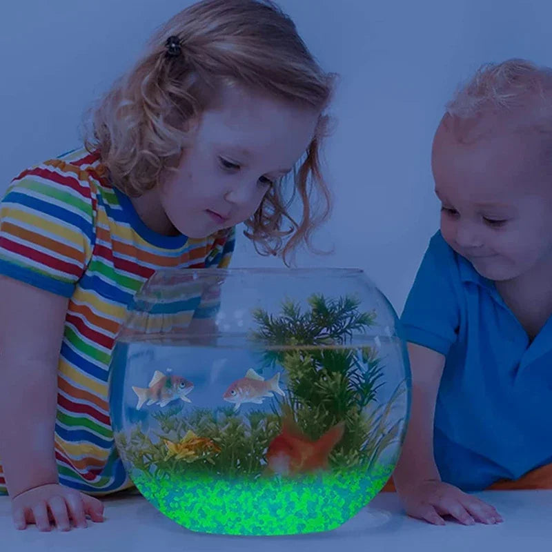 Glow in Dark Luminous Pebbles for Garden & Aquarium Decor