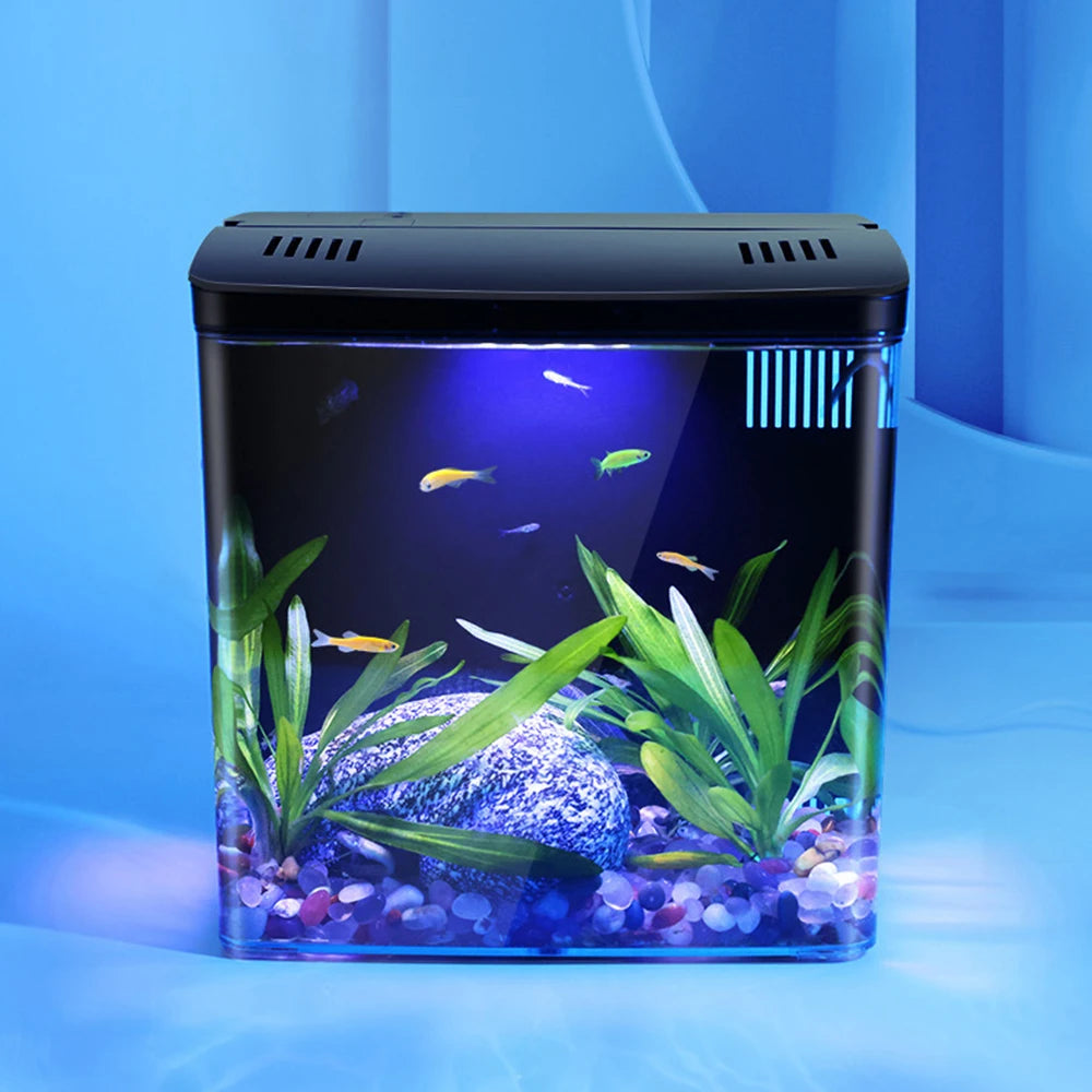 Silent Mini Desktop Betta Fish Tank with LED & Filter | Canada