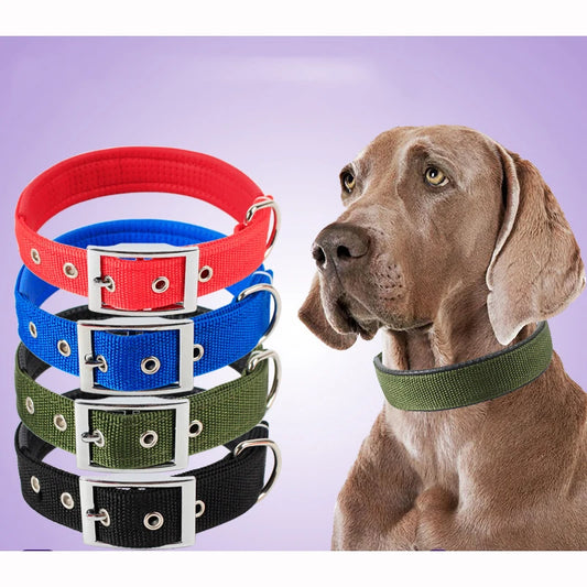 Durable Solid Nylon Dog Collar | Small, Medium, Large Dogs