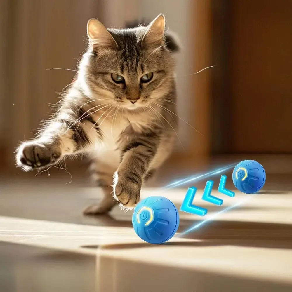 Smart Interactive USB Moving Dog Toy Ball - Chew Puppy Fun