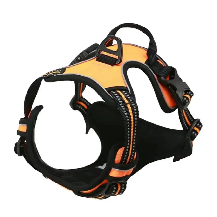 Canadian Leather Dog Collars, Harnesses & Leashes Set