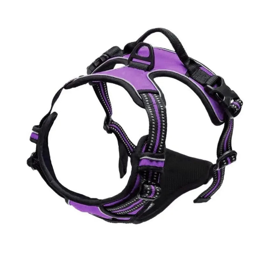 Canadian Leather Dog Collars, Harnesses & Leashes Set