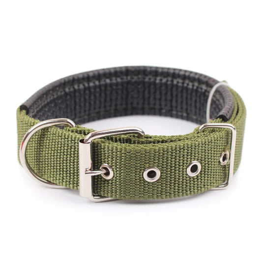 Durable Solid Nylon Dog Collar | Small, Medium, Large Dogs