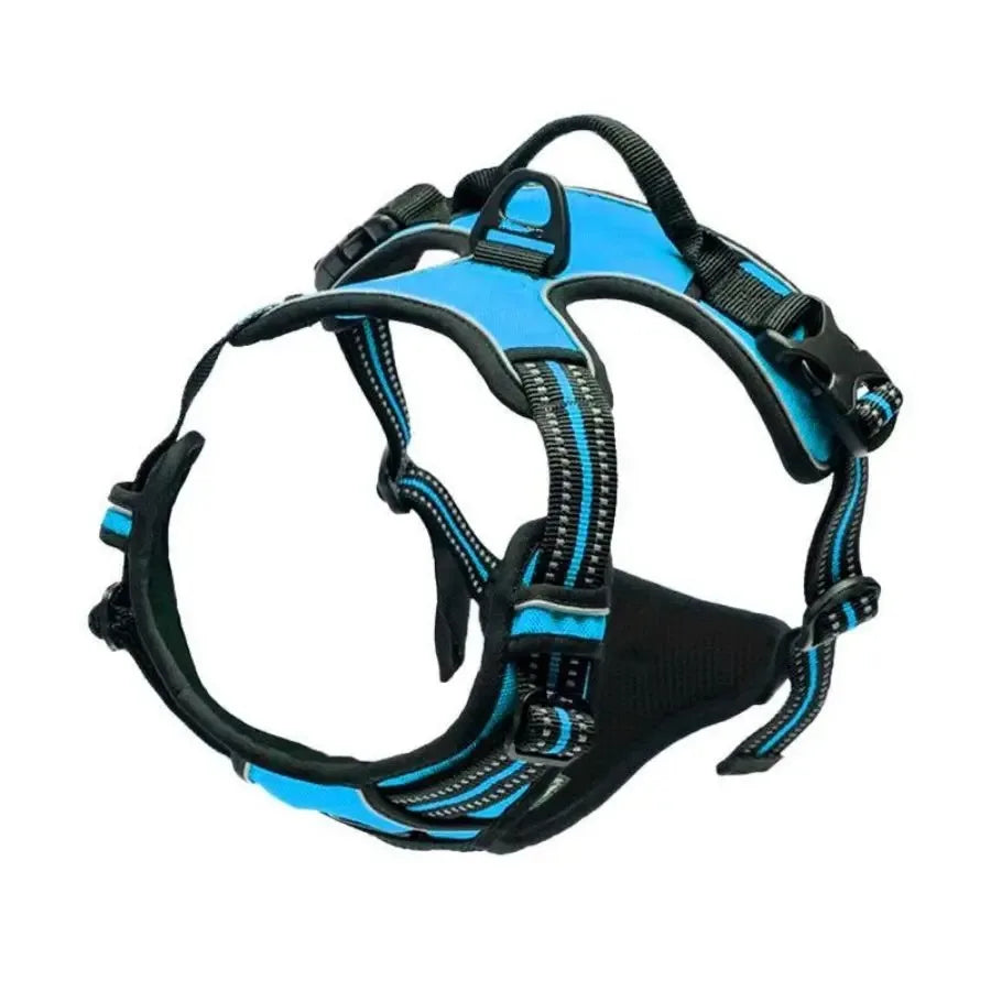 Canadian Leather Dog Collars, Harnesses & Leashes Set