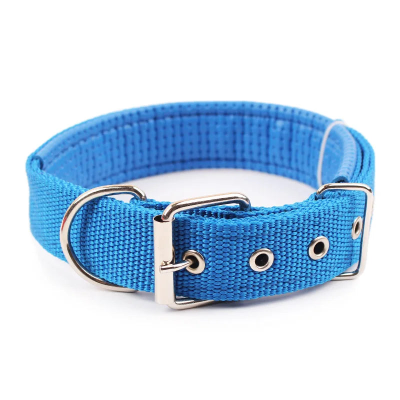 Durable Solid Nylon Dog Collar | Small, Medium, Large Dogs