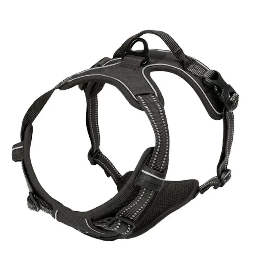 Canadian Leather Dog Collars, Harnesses & Leashes Set
