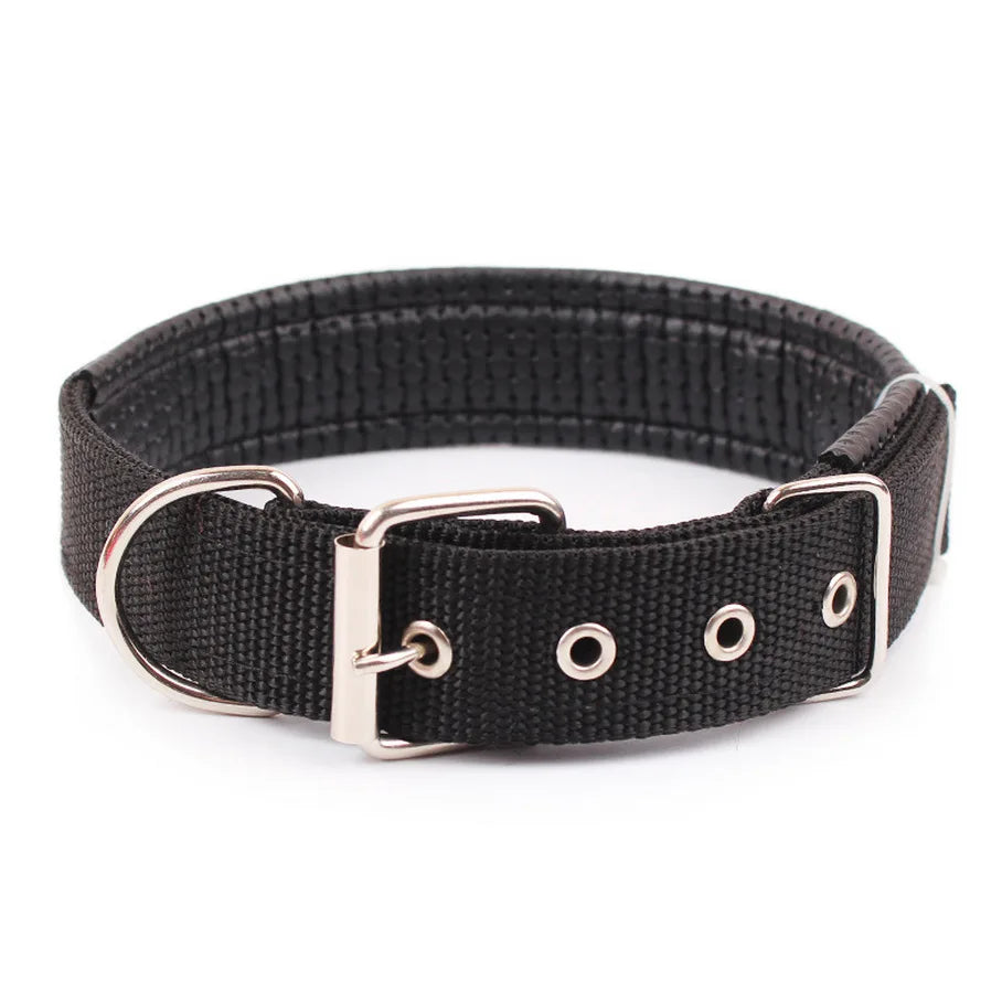 Durable Solid Nylon Dog Collar | Small, Medium, Large Dogs