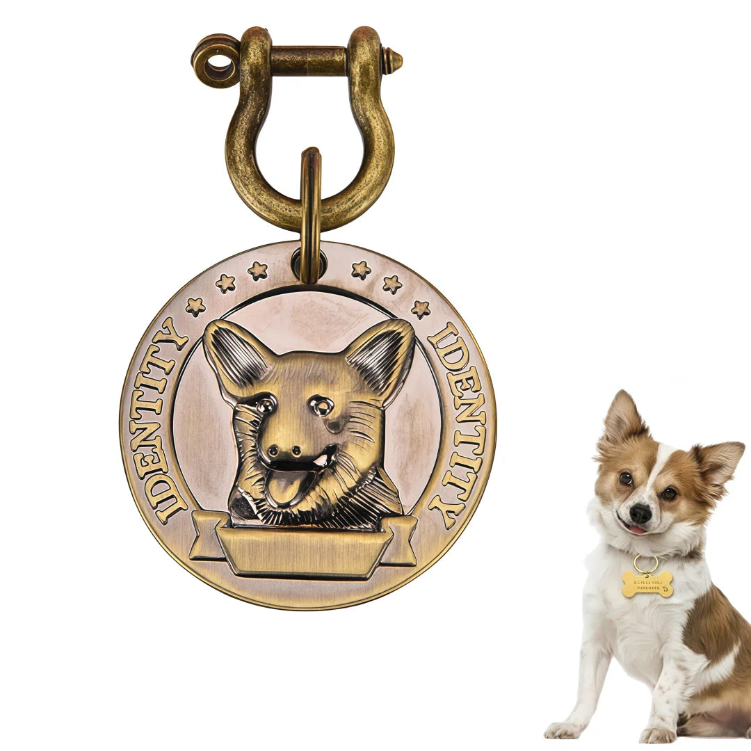 Custom Engraved Bronze Dog ID Tag | Personalized Pet Nameplate