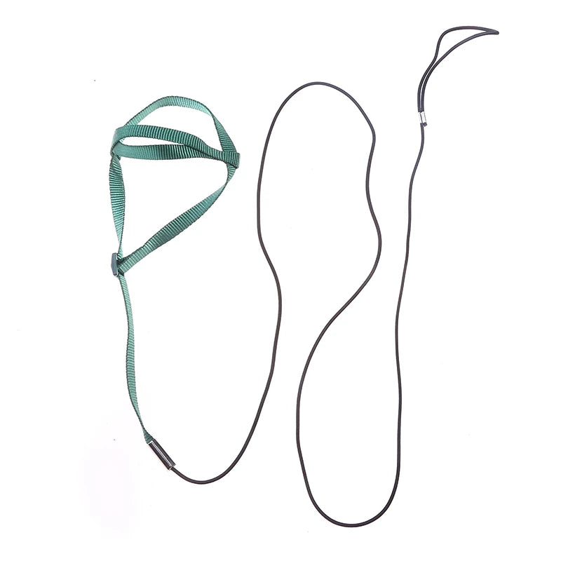 Parrot Bird Harness & Leash for Outdoor Flying & Training