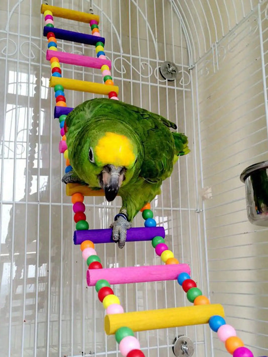 Vibrant Wooden Bird Ladder & Swing Toy for Small Parrots