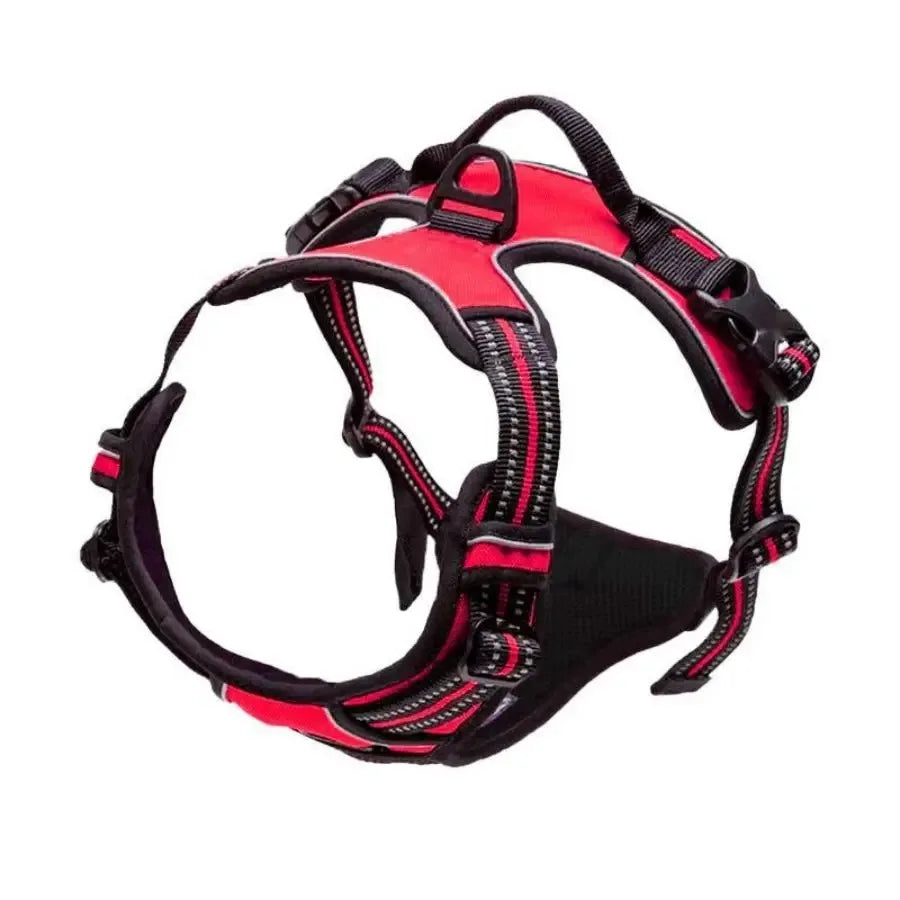 Canadian Leather Dog Collars, Harnesses & Leashes Set