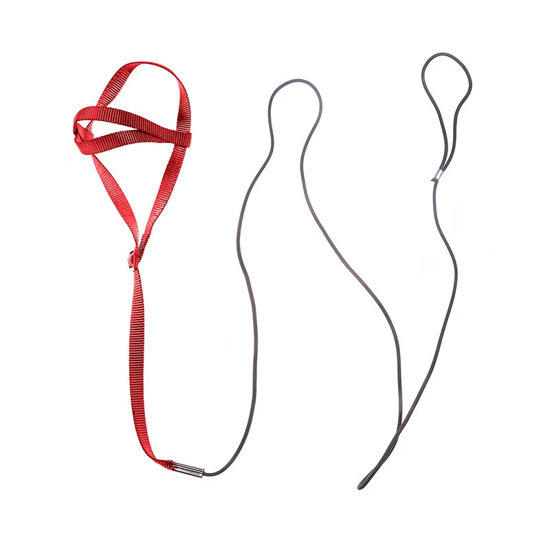 Parrot Bird Harness & Leash for Outdoor Flying & Training
