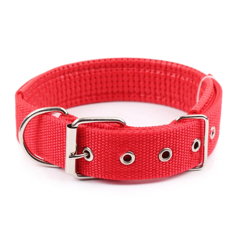 Durable Solid Nylon Dog Collar | Small, Medium, Large Dogs