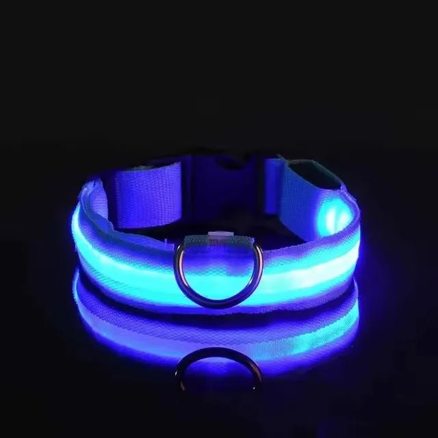 Nylon LED Flashing Dog Leash | Night Safety for Dogs