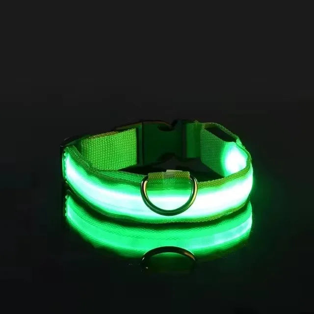Nylon LED Flashing Dog Leash | Night Safety for Dogs