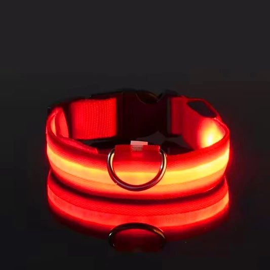 Nylon LED Flashing Dog Leash | Night Safety for Dogs