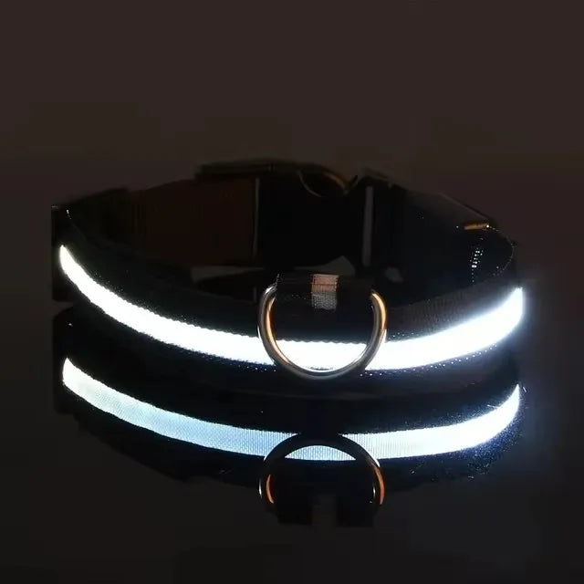 Nylon LED Flashing Dog Leash | Night Safety for Dogs