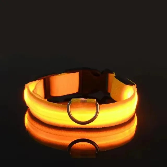 Nylon LED Flashing Dog Leash | Night Safety for Dogs