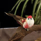 6-Pack Mini Artificial Foam Birds for Home & Kids Decor