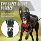 Canadian Leather Dog Collars, Harnesses & Leashes Set