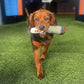 Funny Cigar Dog Toy - Interactive Plush Squeaky Chew