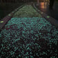 1000 Luminous Glow In Dark Pebbles | Garden, Path & Aquarium Decor