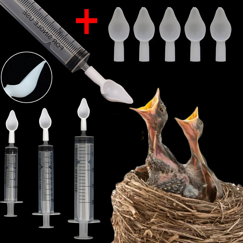 Baby Bird Feeding Kit: Syringe & Spoon for Milk & Medicine