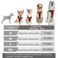 Canadian Leather Dog Collars, Harnesses & Leashes Set