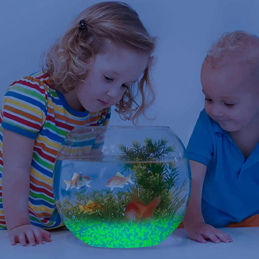 1000 Luminous Glow In Dark Pebbles | Garden, Path & Aquarium Decor