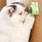 Catnip Wall Ball Treat for Cats - Dental & Fresh Breath