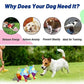 Rainbow Plush Flying Disc Dog Toy Interactive Chew & Fun